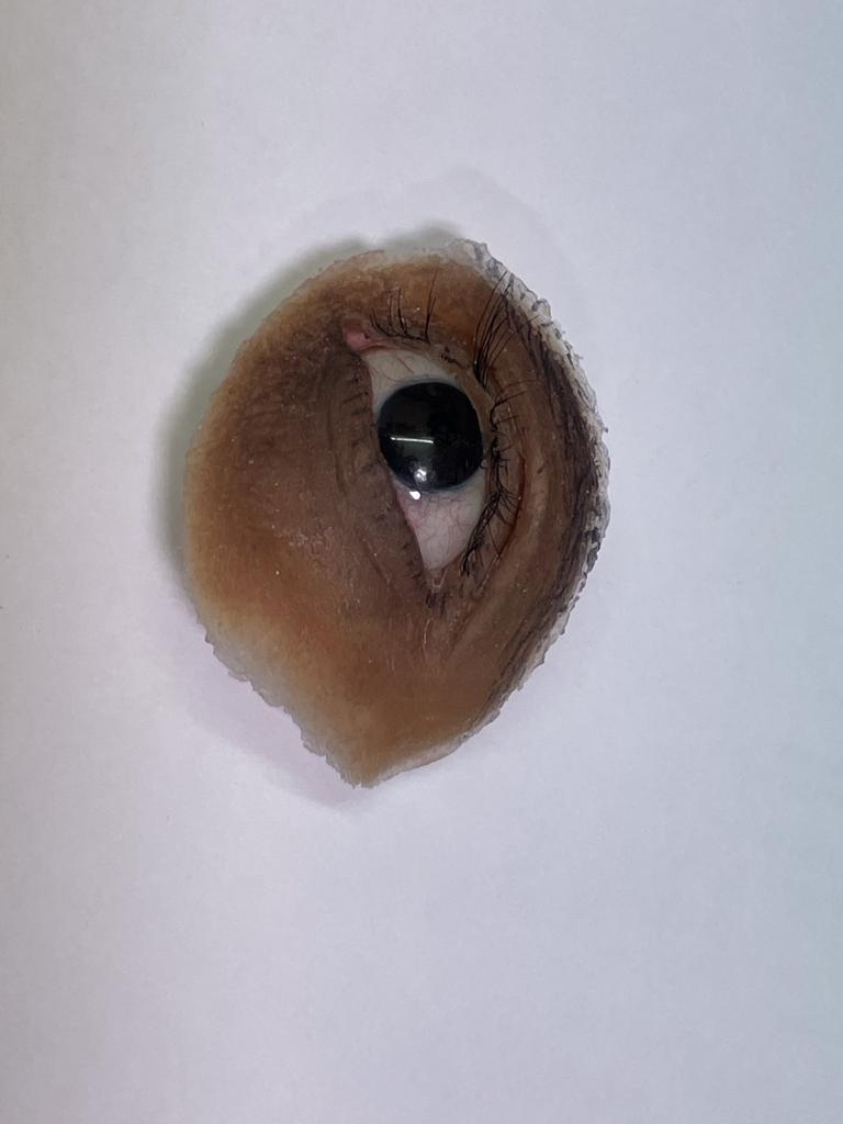 Before image